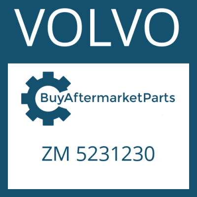 ZM 5231230 VOLVO SHIM