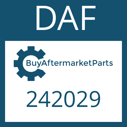 242029 DAF SPRING WASHER