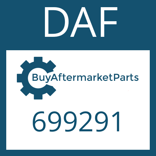 699291 DAF HELICAL GEAR