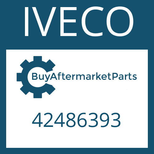 42486393 IVECO WASHER