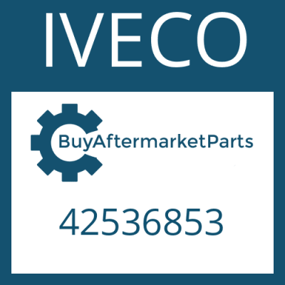 42536853 IVECO SPLIT RING