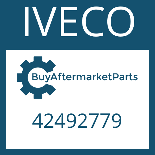 42492779 IVECO WASHER