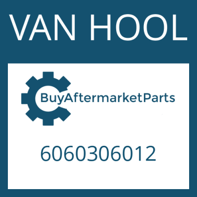 6060306012 VAN HOOL BALL PIN