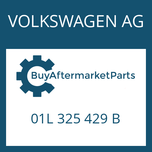 01L 325 429 B VOLKSWAGEN AG FILTER