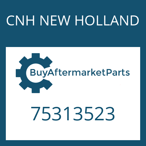 75313523 CNH NEW HOLLAND FLANGE