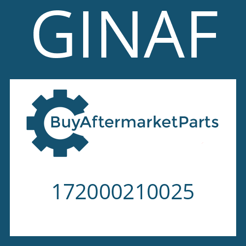 172000210025 GINAF BEARING HOUSING