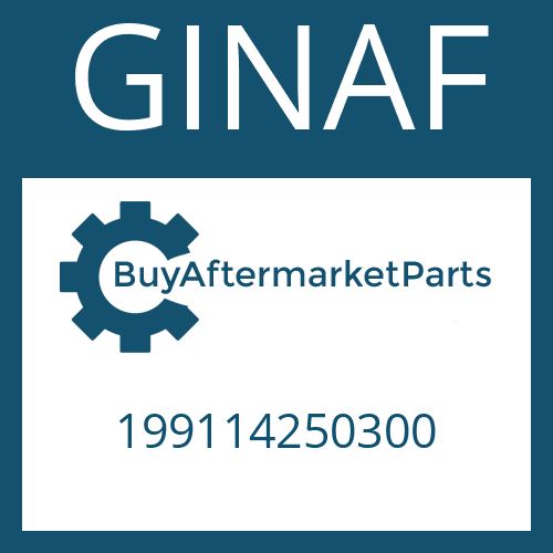 199114250300 GINAF SEALING RING