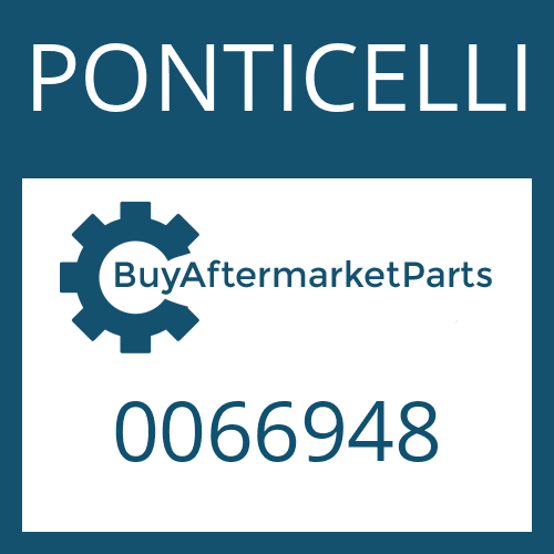 0066948 PONTICELLI WASHER
