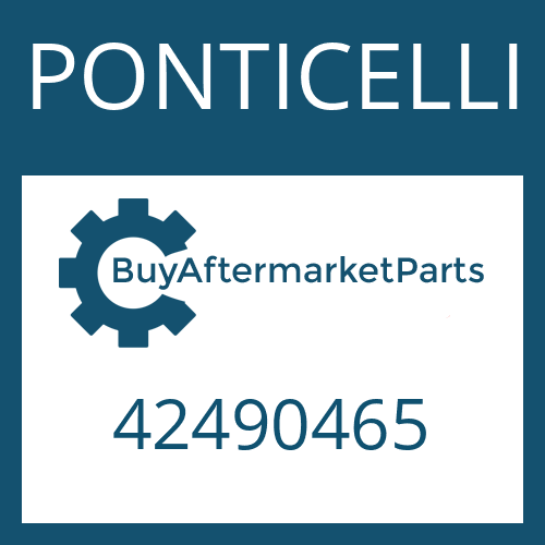 42490465 PONTICELLI WASHER