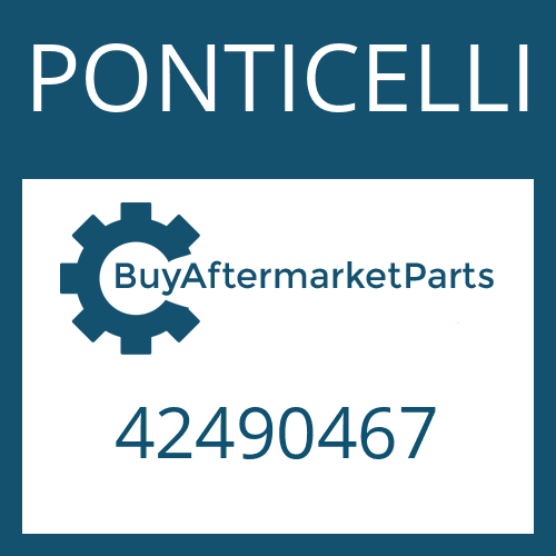 42490467 PONTICELLI WASHER