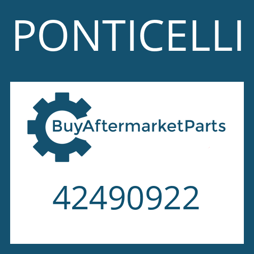 42490922 PONTICELLI WASHER