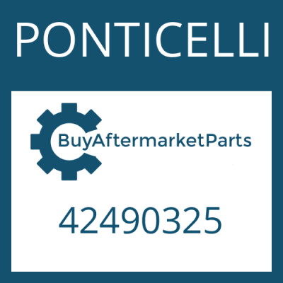 42490325 PONTICELLI WASHER