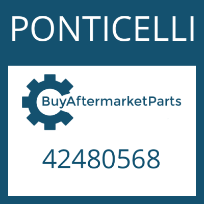 42480568 PONTICELLI RETAINING RING