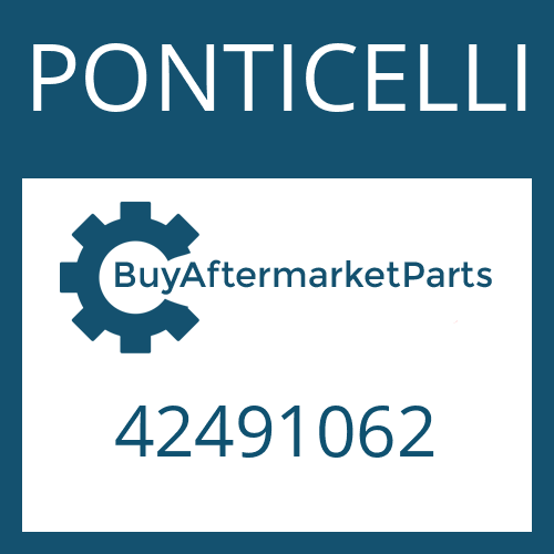 42491062 PONTICELLI WASHER