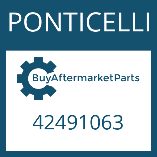 42491063 PONTICELLI WASHER