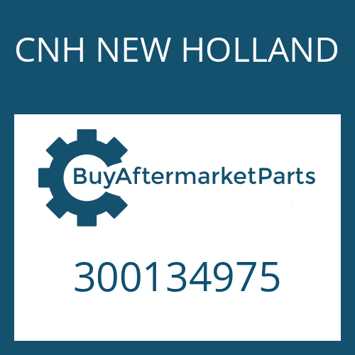 CNH NEW HOLLAND 300134975 - Part