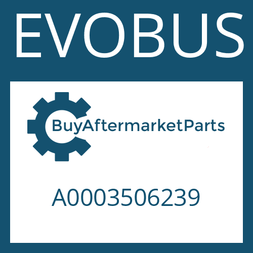 EVOBUS A0003506239 - BEVEL GEAR SET