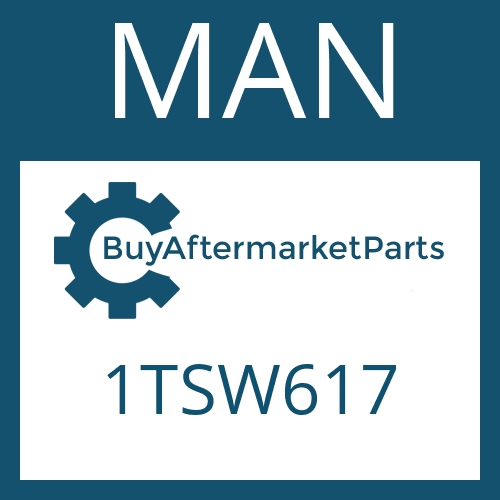 MAN 1TSW617 - Part