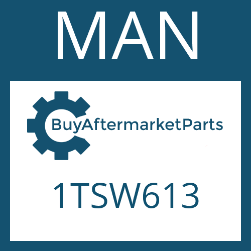 MAN 1TSW613 - Part