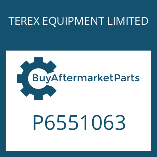 TEREX EQUIPMENT LIMITED P6551063 - SEALING RING