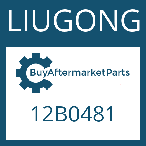 LIUGONG 12B0481 - O-RING