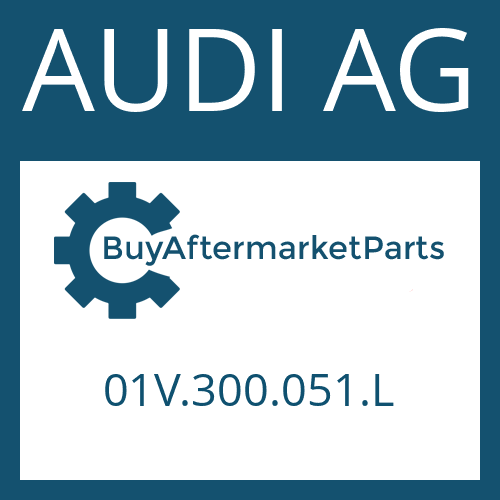 AUDI AG 01V.300.051.L - 5 HP 19 FL