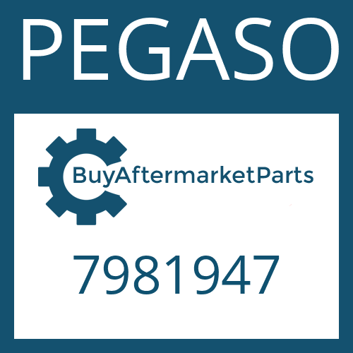 PEGASO 7981947 - O-RING