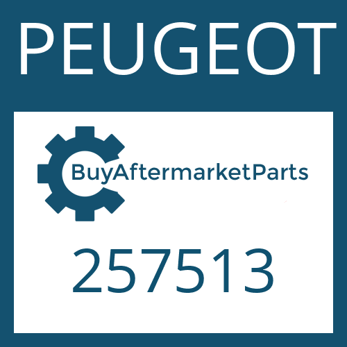 PEUGEOT 257513 - WASHER