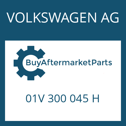 VOLKSWAGEN AG 01V 300 045 H - 5 HP 19 FL