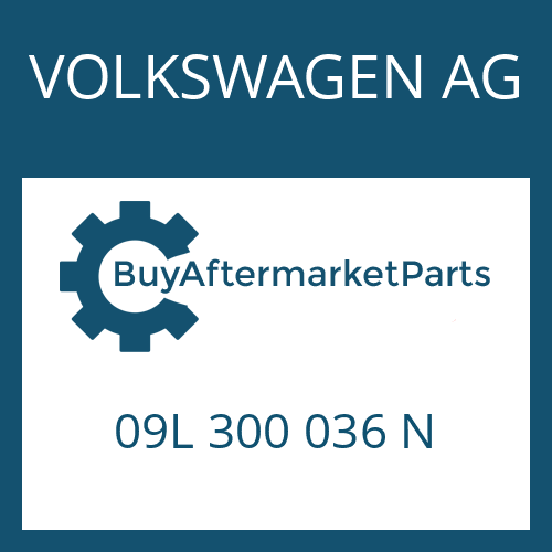 VOLKSWAGEN AG 09L 300 036 N - 6 HP 19 A SW