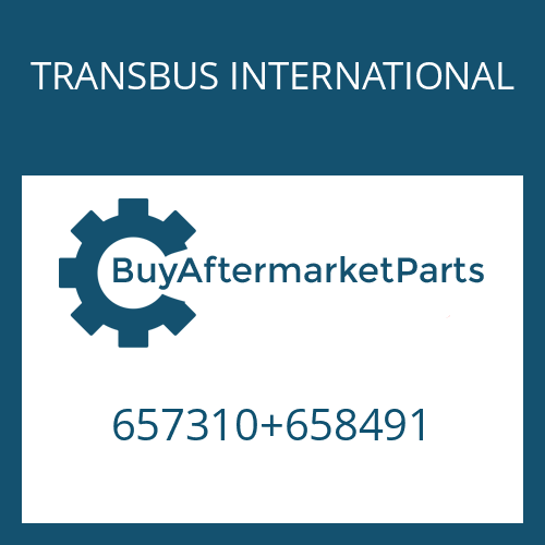 TRANSBUS INTERNATIONAL 657310+658491 - 10 AS 2310 B IT