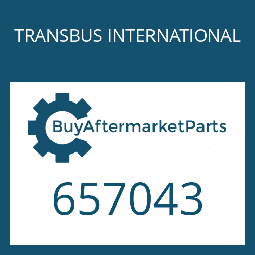 TRANSBUS INTERNATIONAL 657043 - ECOMAT