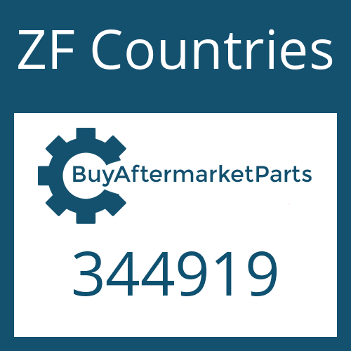 ZF Countries 344919 - LOCKING PLATE