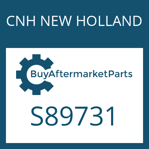 CNH NEW HOLLAND S89731 - O RING