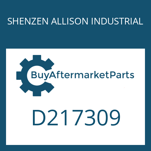 SHENZEN ALLISON INDUSTRIAL D217309 - GASKET