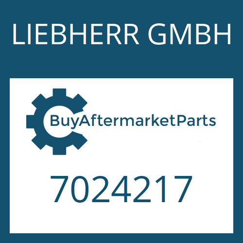 LIEBHERR GMBH 7024217 - SEAL KIT