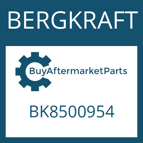 BERGKRAFT BK8500954 - U-JOINT-KIT