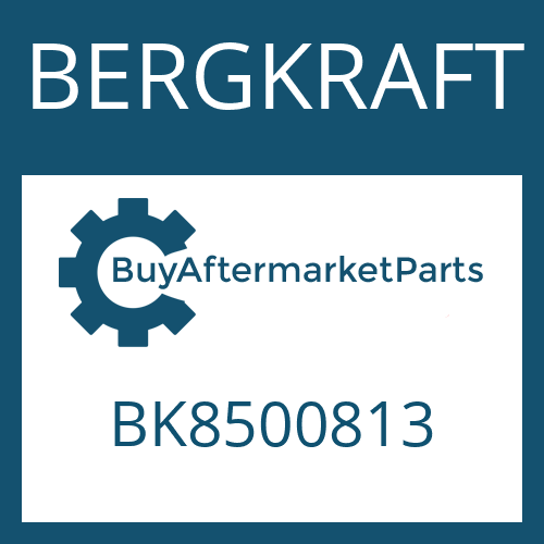 BERGKRAFT BK8500813 - U-JOINT KIT