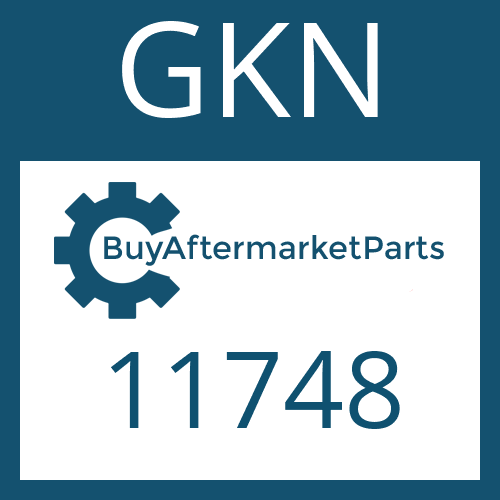 GKN 11748 - U-JOINT KIT