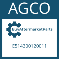AGCO E514300120011 - CYLINDER