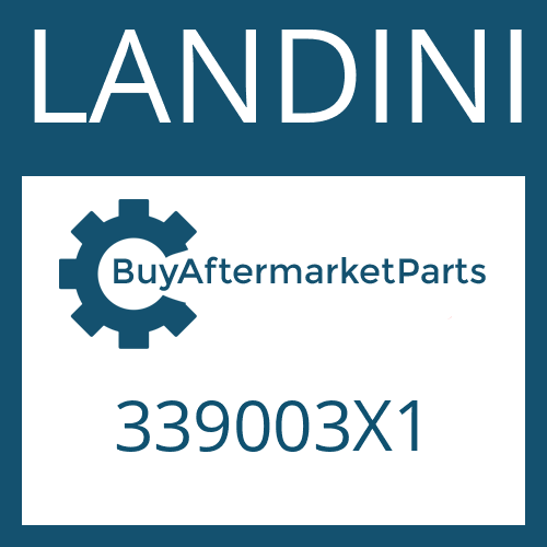 LANDINI 339003X1 - GREASE FITTING