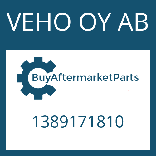 VEHO OY AB 1389171810 - COMPANION FLANGE