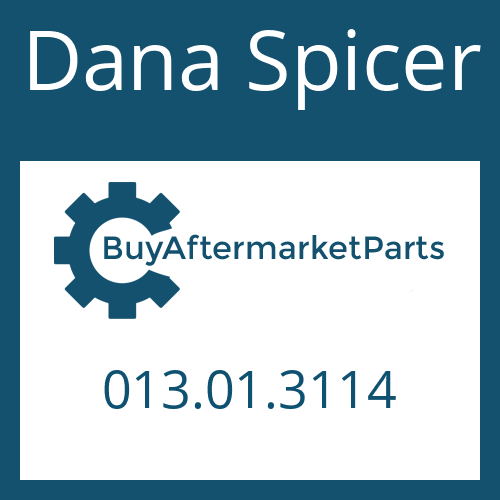 Dana Spicer 013.01.3114 - SPACER