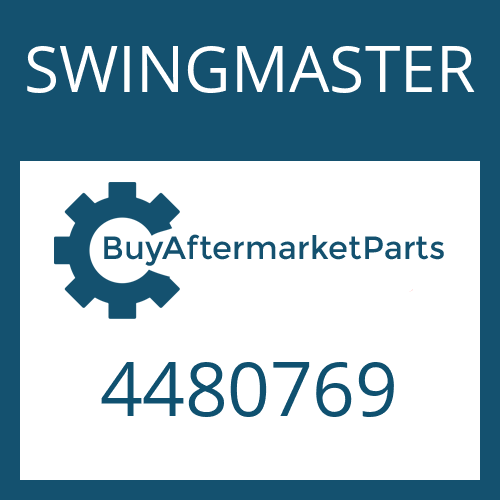 SWINGMASTER 4480769 - GASKET KIT