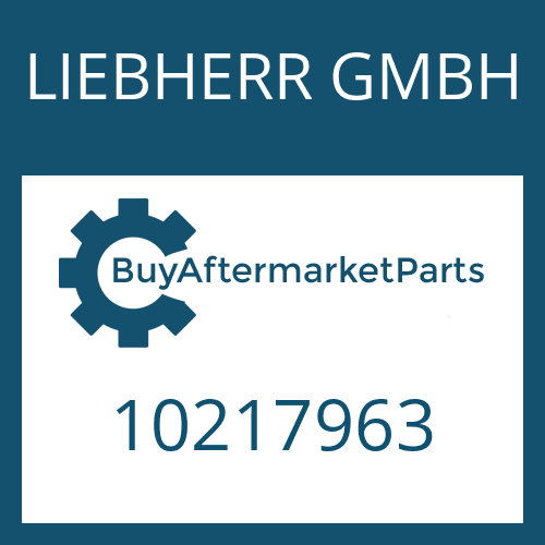 LIEBHERR GMBH 10217963 - AXLE CASE