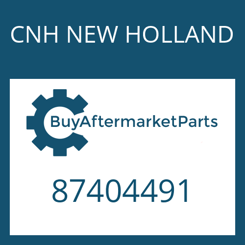 CNH NEW HOLLAND 87404491 - CAP-NIPPLE