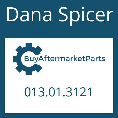 Dana Spicer 013.01.3121 - SHIM