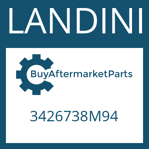 LANDINI 3426738M94 - AXLE CASE