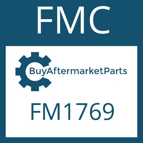 FMC FM1769 - FRICTION PLATE