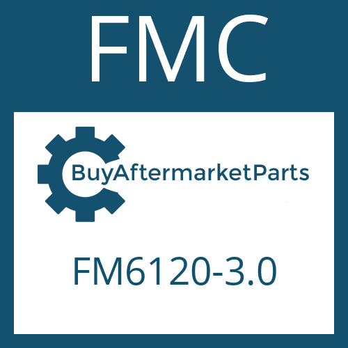 FMC FM6120-3.0 - FRICTION PLATE
